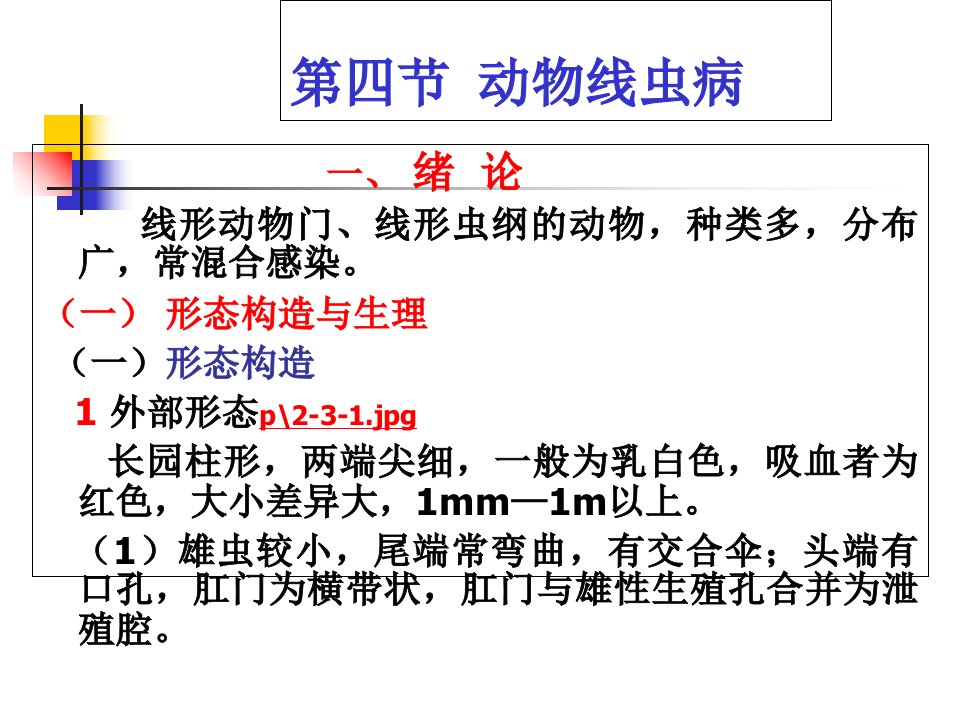 动物蠕虫病学线虫