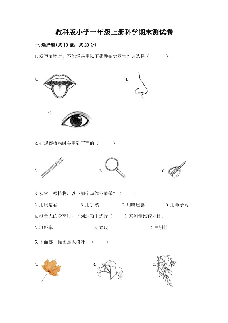 教科版小学一年级上册科学期末测试卷附参考答案（达标题）