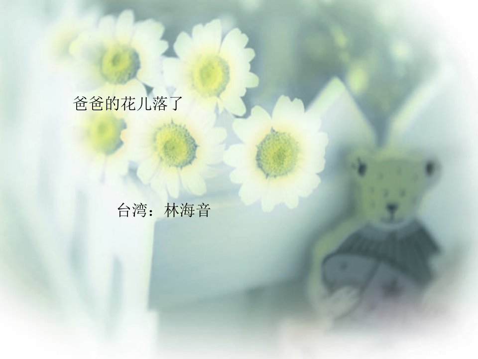 爸爸的花儿落了PPT