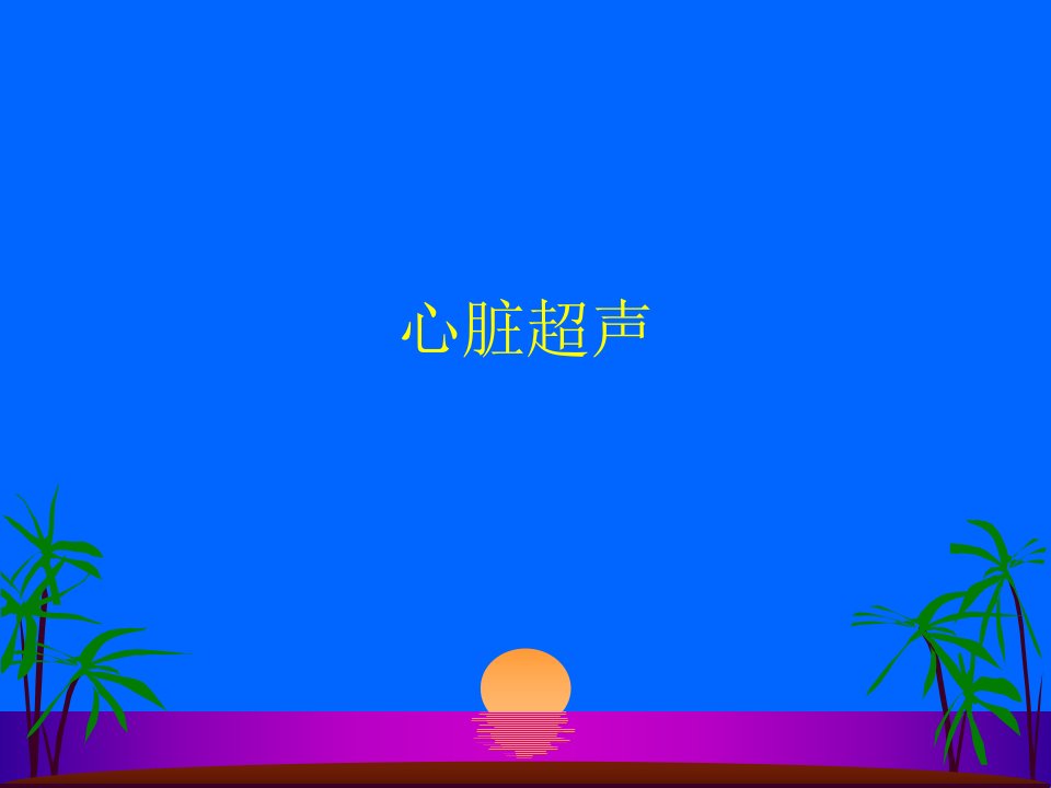 心脏超声