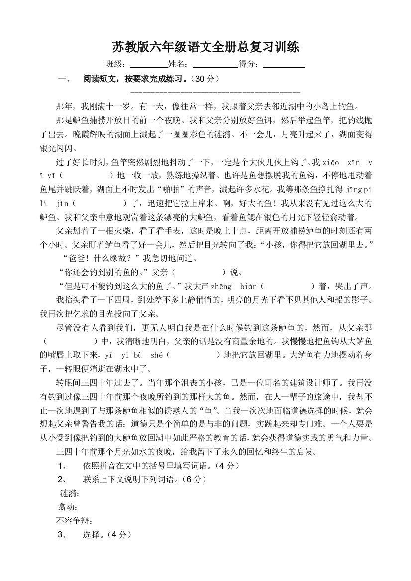 苏教版六年级语文全册总复习训练