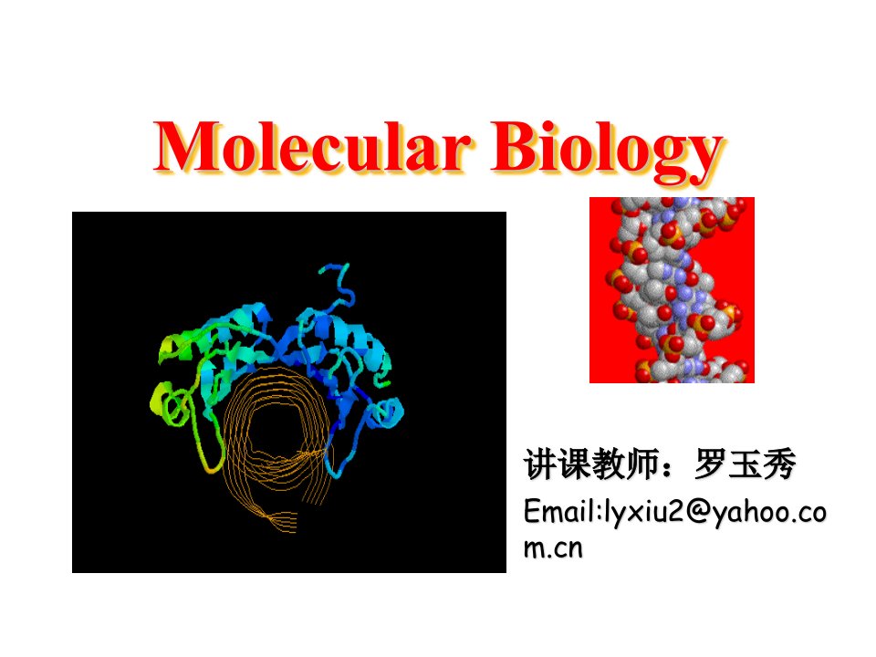 第l七章