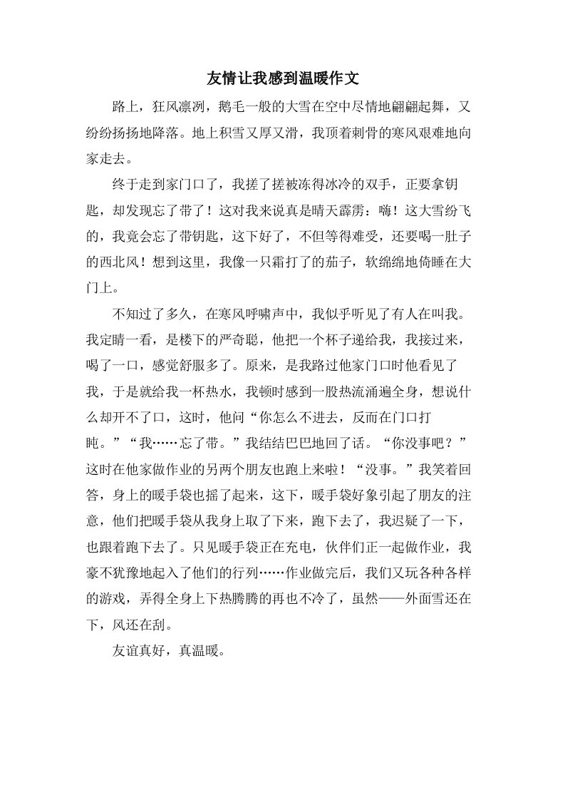 友情让我感到温暖作文