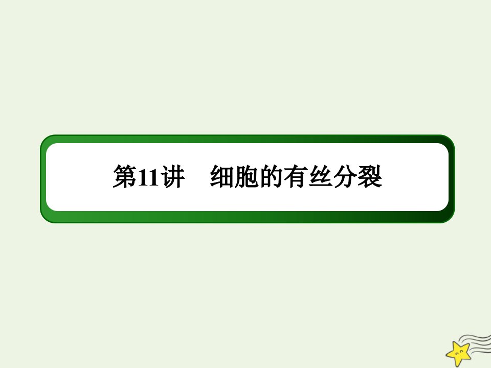 山东专用高考生物一轮复习第四单元细胞的生命历程第11讲细胞的有丝分裂课件