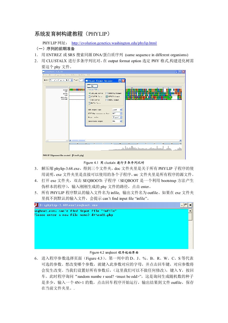 系统发育树构建教程(PHYLIP)