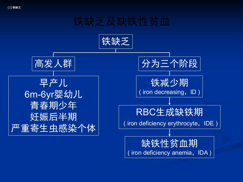 营养与健康2文件