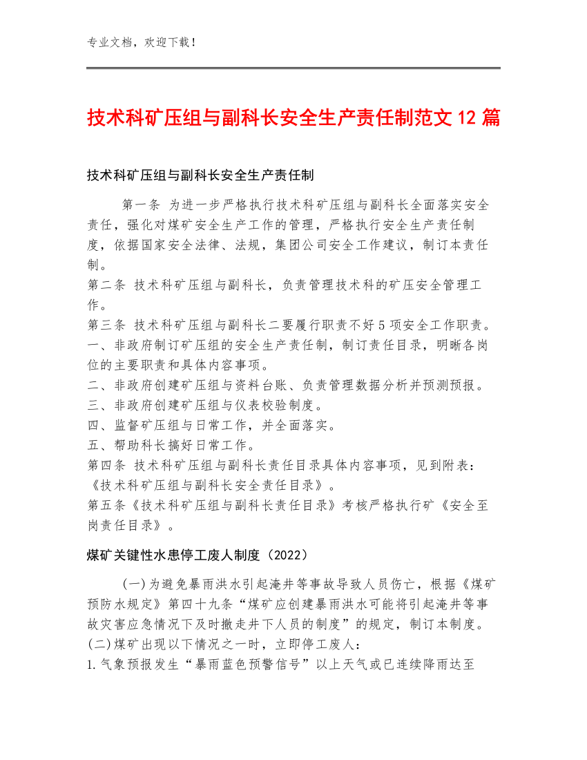 技术科矿压组与副科长安全生产责任制范文12篇