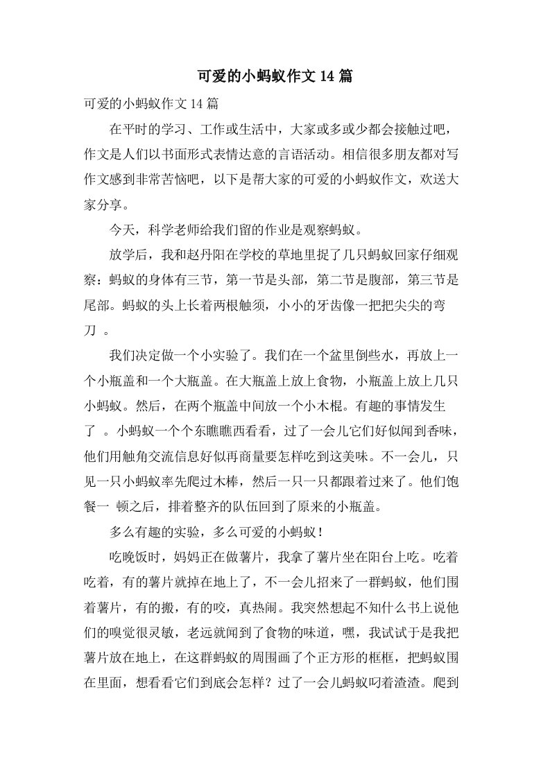 可爱的小蚂蚁作文14篇