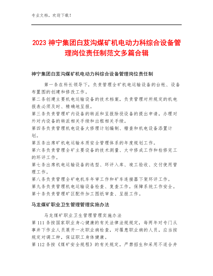 2023神宁集团白芨沟煤矿机电动力科综合设备管理岗位责任制范文多篇合辑