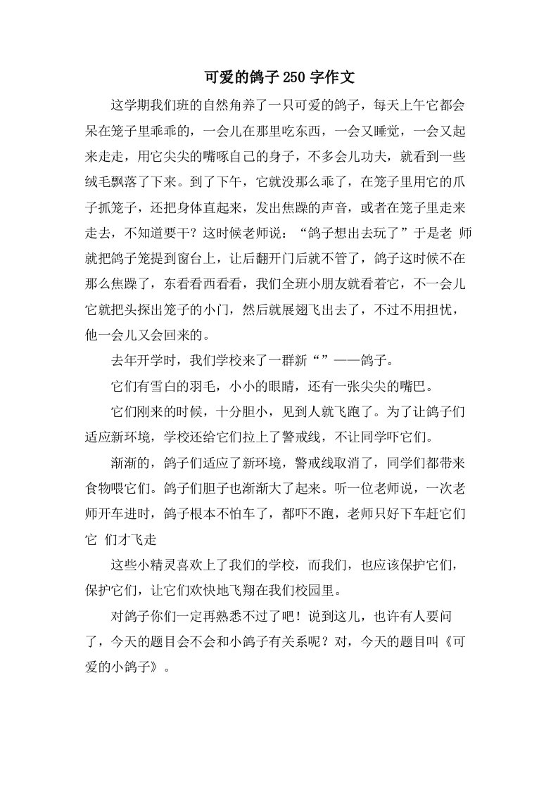 可爱的鸽子250字作文