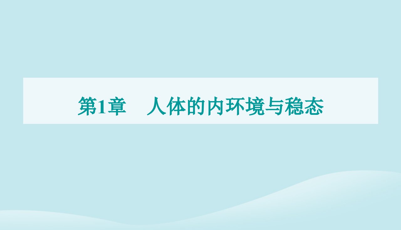 新教材2023高中生物第1章人体的内环境与稳态第2节内环境的稳态课件新人教版选择性必修1