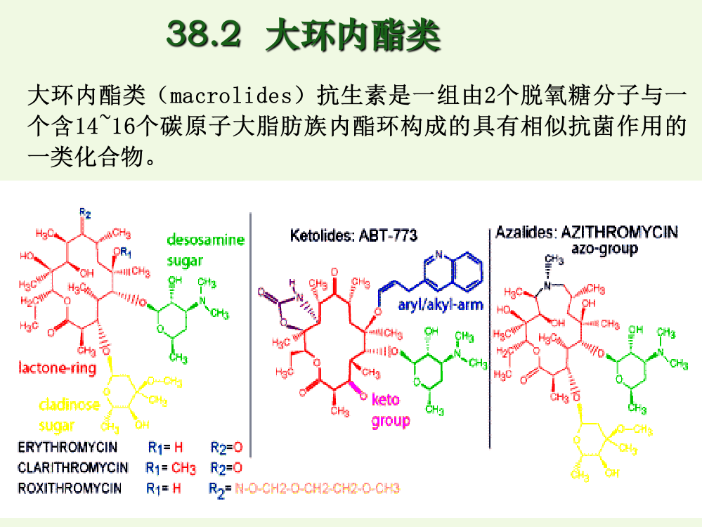 大环内酯类和氨基糖苷类