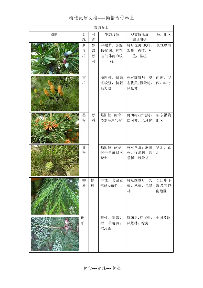 常用园林植物分类(共22页)