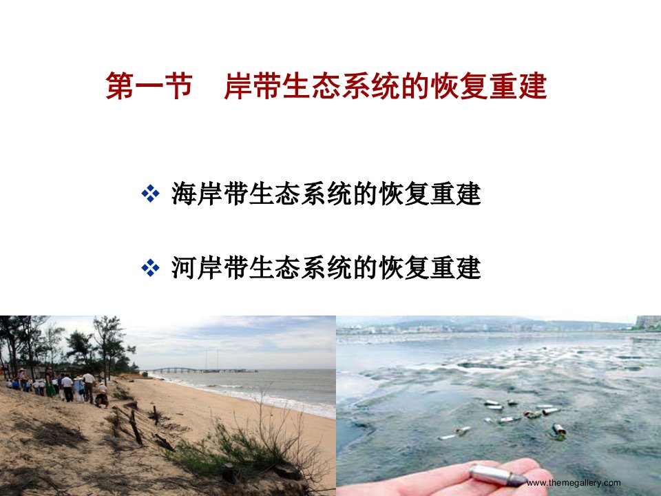 第五章水域与湿地生态系统的恢复重建ppt课件