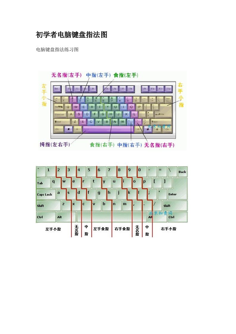 初学者电脑键盘指法图