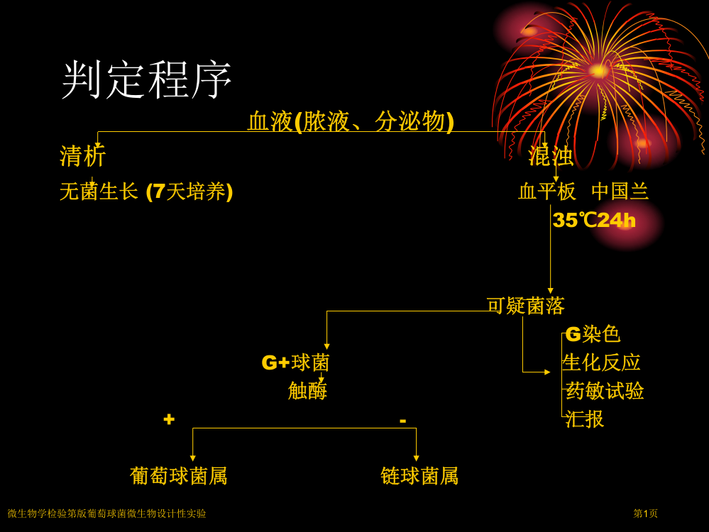 微生物学检验第版葡萄球菌微生物设计性实验