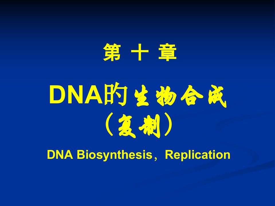 原核生物的DNA聚合酶功能公开课获奖课件百校联赛一等奖课件