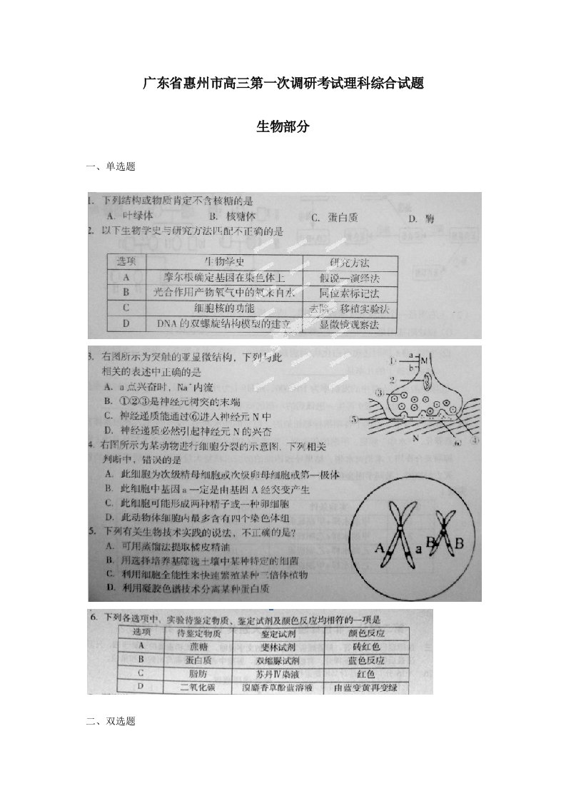 广东省惠州市高三第一次调研考试理科综合试题-生物