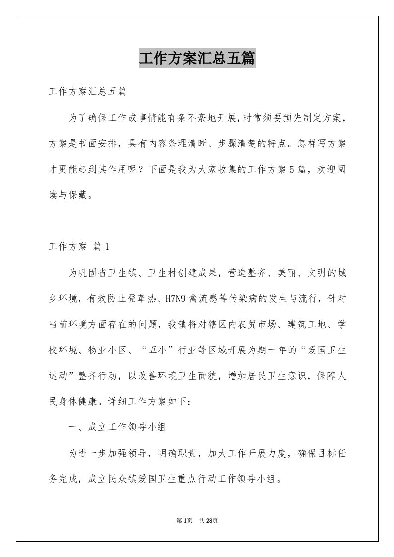 工作方案汇总五篇例文5