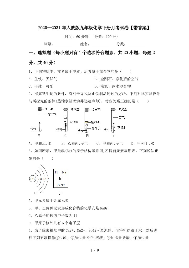 20202021年人教版九年级化学下册月考试卷带答案