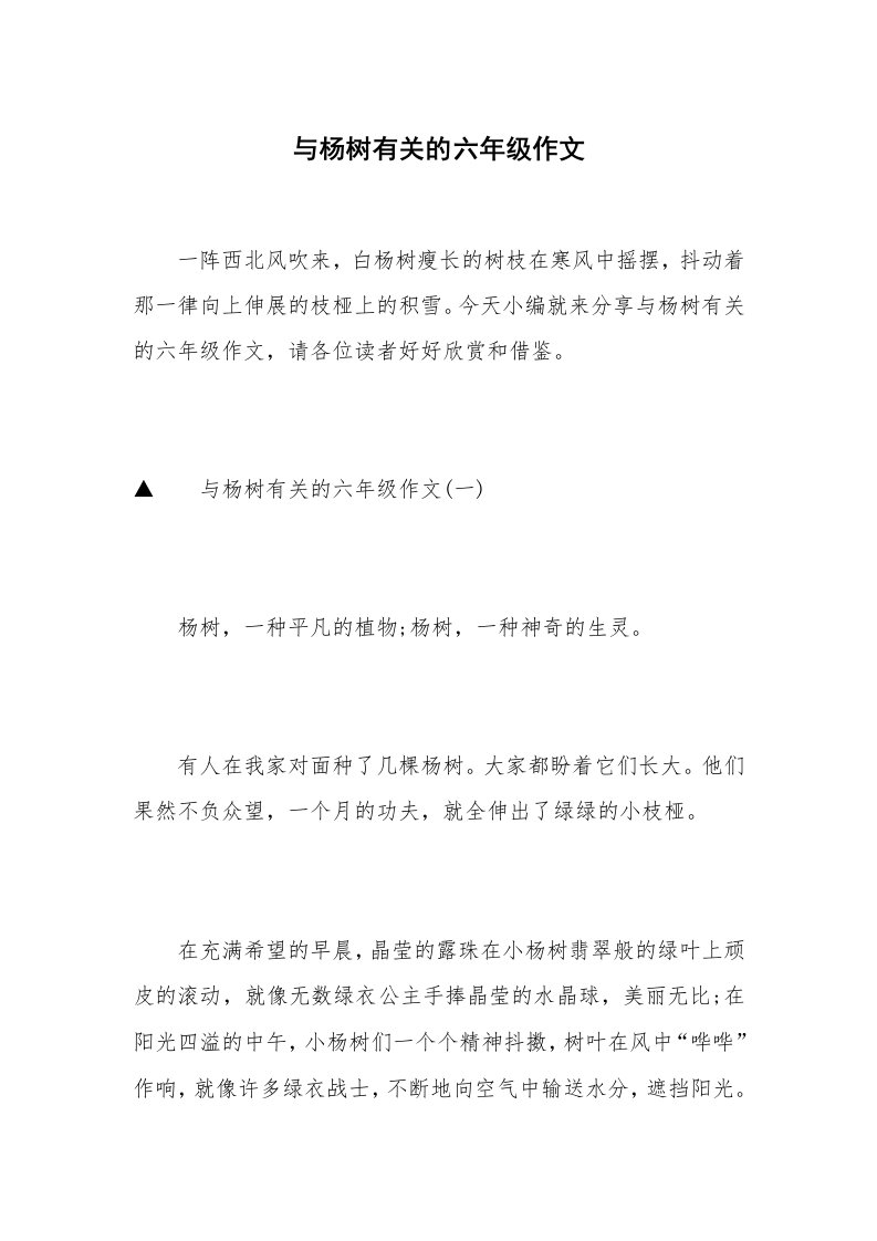 与杨树有关的六年级作文