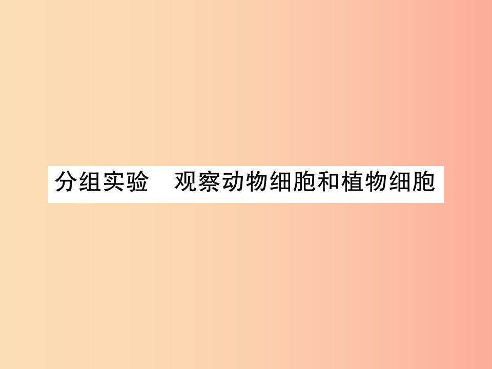 2019年秋七年级科学上册第2章观察生物分组实验观察动物细胞和植物细胞课件新版浙教版