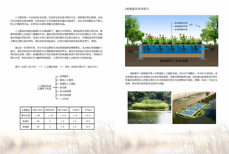 人工湿地原理及工程案例