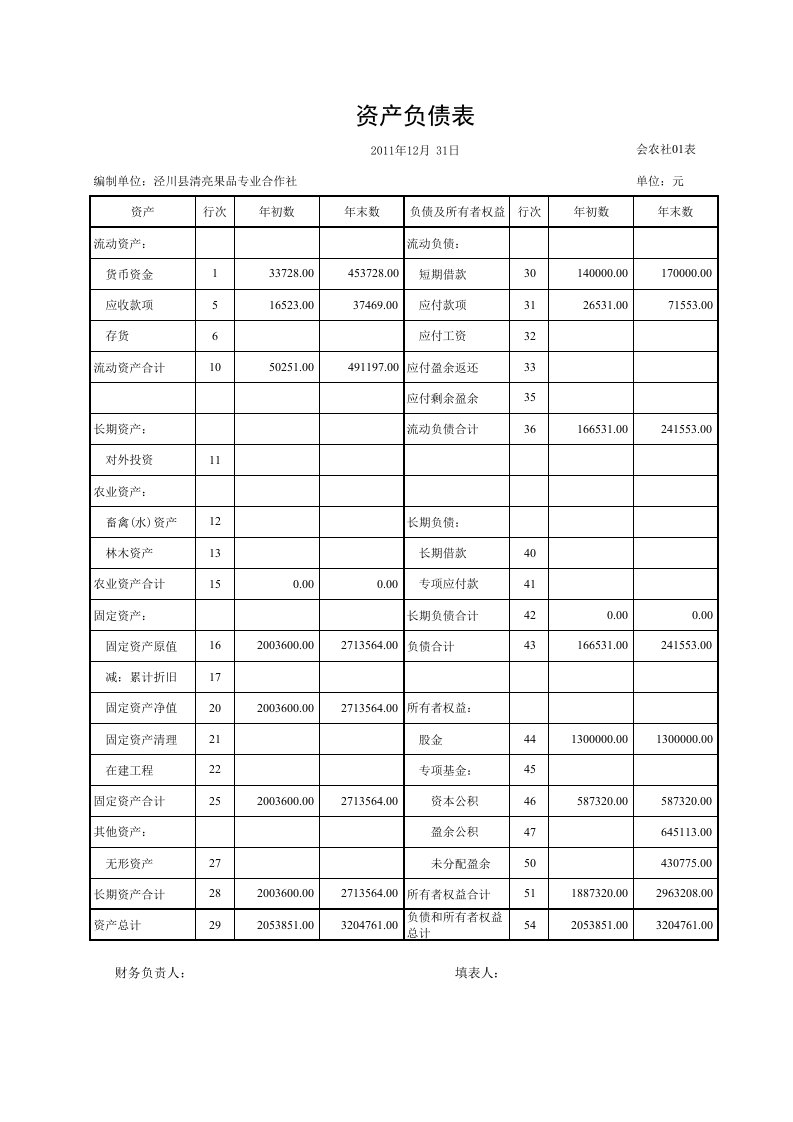 农民专业合作社资产负债表及损益表(excel版)