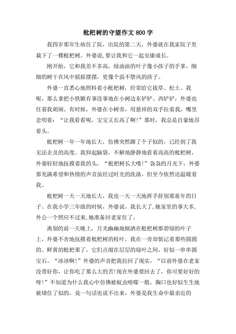 枇杷树的守望作文800字