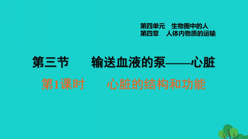 安徽专版2022七年级生物下册第四单元生物圈中的人第四章人体内物质的运输第3节输送血液的泵──心脏第1课时心脏的结构和功能习题课件新版新人教版