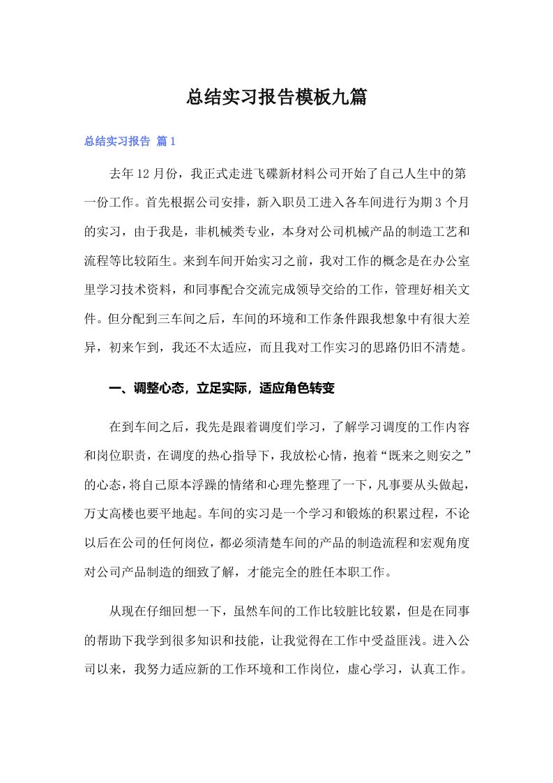 总结实习报告模板九篇