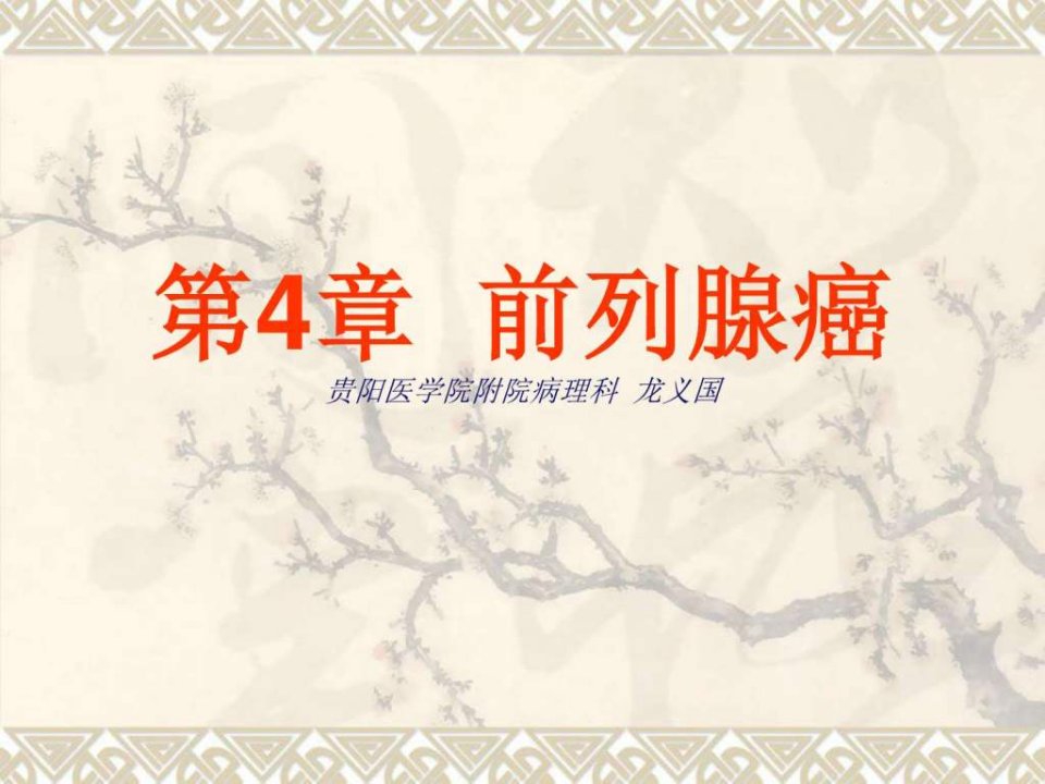 第4章前列腺癌.ppt