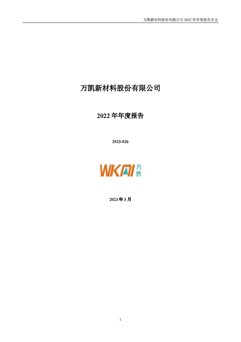 深交所-万凯新材：2022年年度报告-20230331