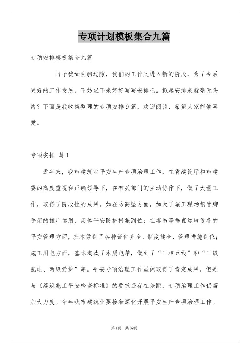 专项计划模板集合九篇