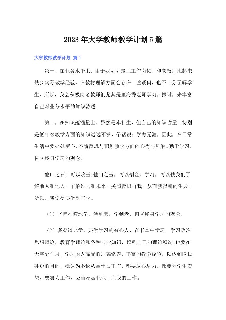 大学教师教学计划5篇