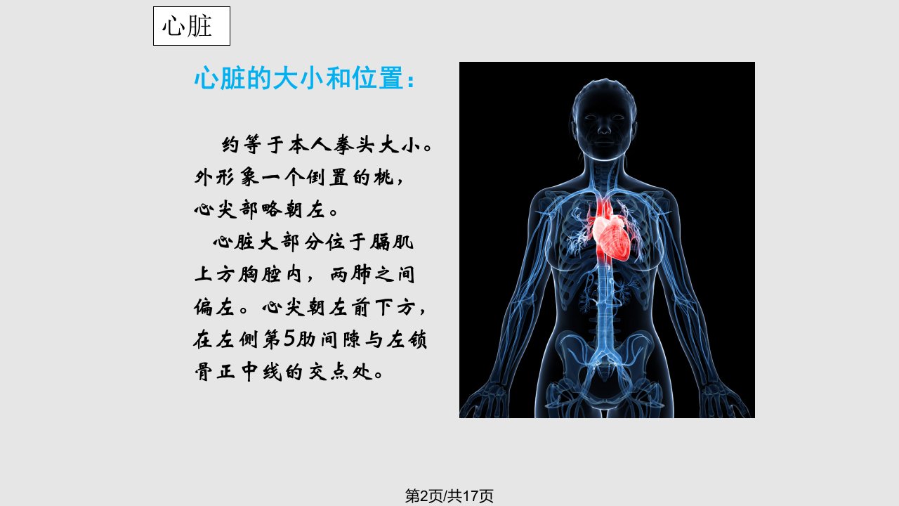 学前卫生学循环系统PPT