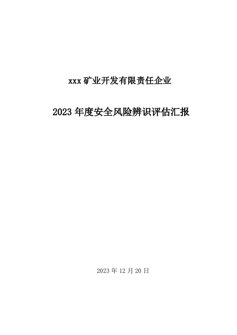 矿业公司风险评估报告