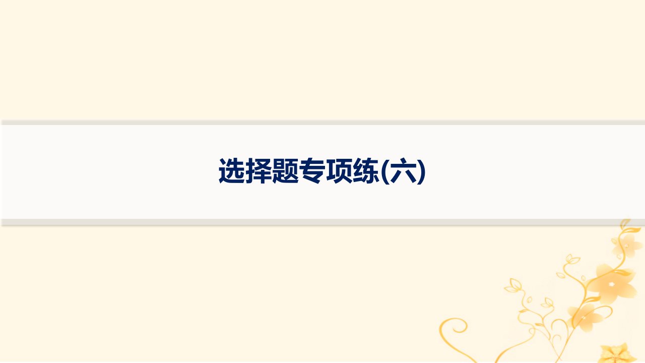 适用于新高考新教材2024版高考化学二轮复习选择题专项练6课件