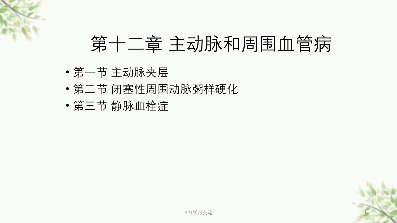 主动脉和周围血管病内科学第版第二篇课件