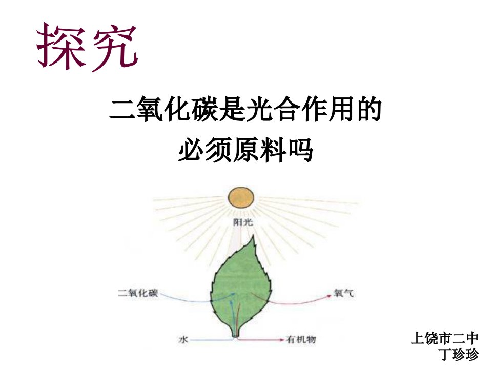 初中生物创新实验说课