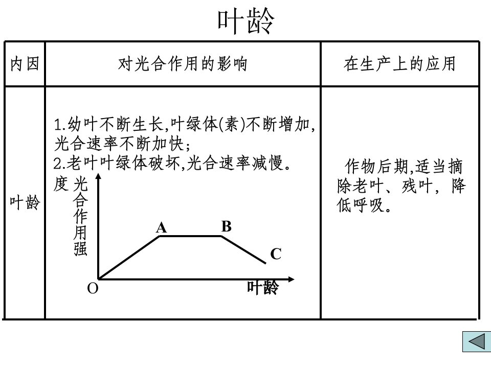 最新影响光合作用的因素PPT课件