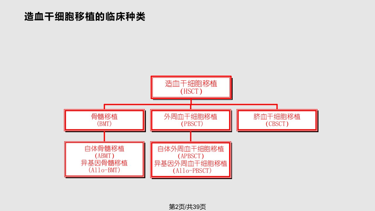 造血干细胞移植术