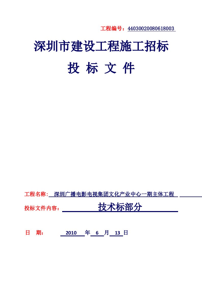 工作文档技术标暗标部分