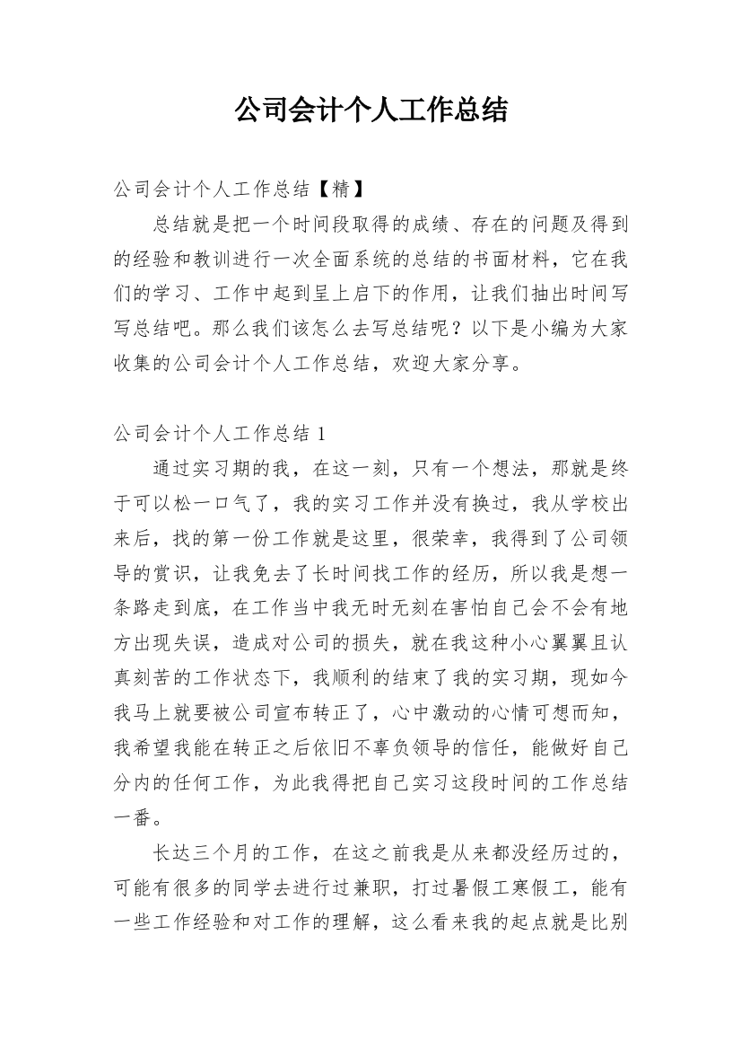 公司会计个人工作总结_14