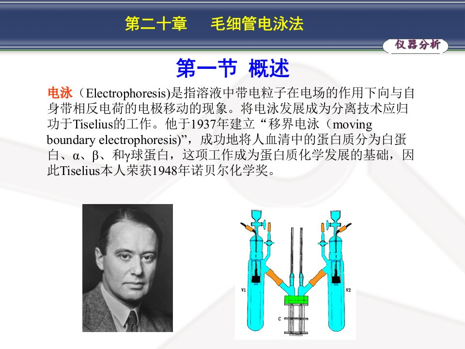 第二十章毛细管电泳法名师编辑PPT课件