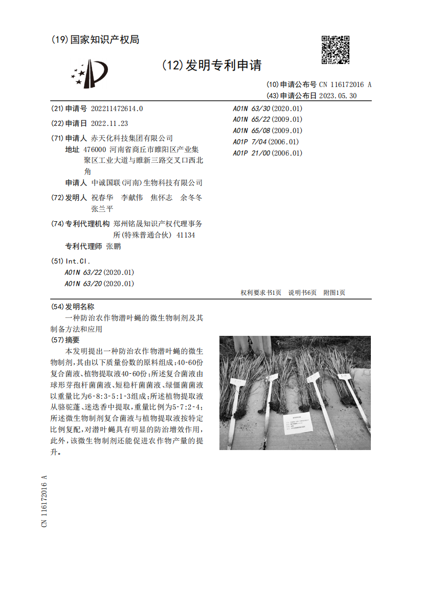 一种防治农作物潜叶蝇的微生物制剂及其制备方法和应用