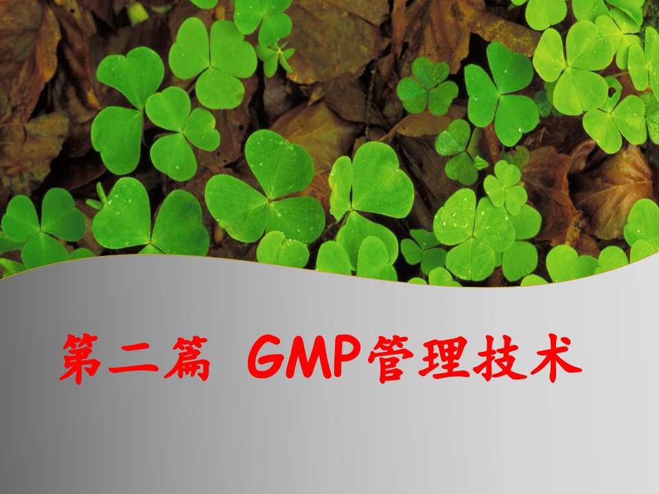 【学习课件】第二篇gmp管理技术物料管理