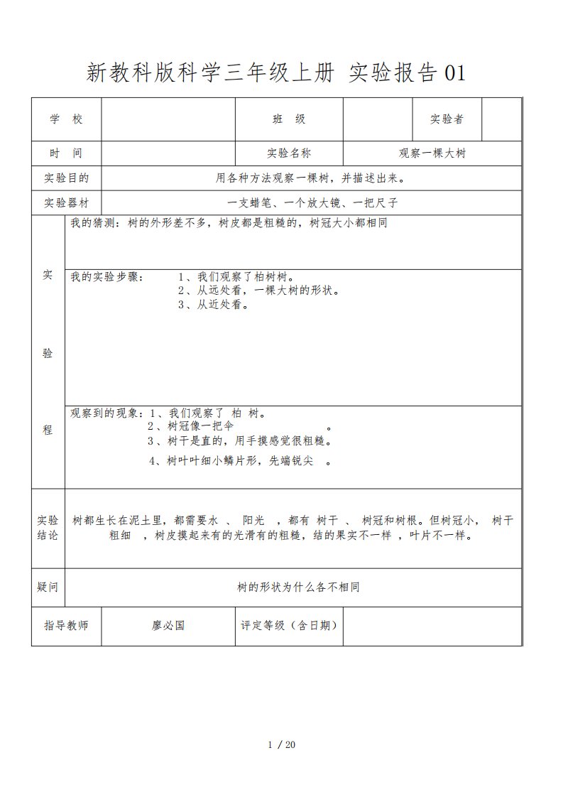 教科版三年级上册科学实验报告单