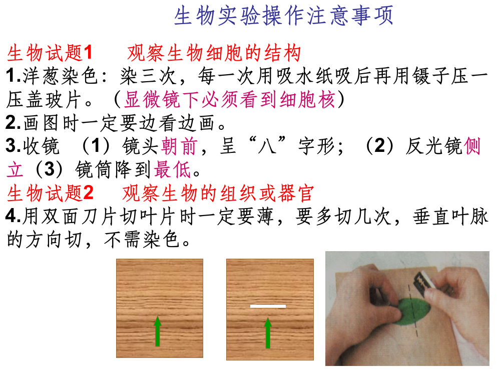 生物实验操作注意事项