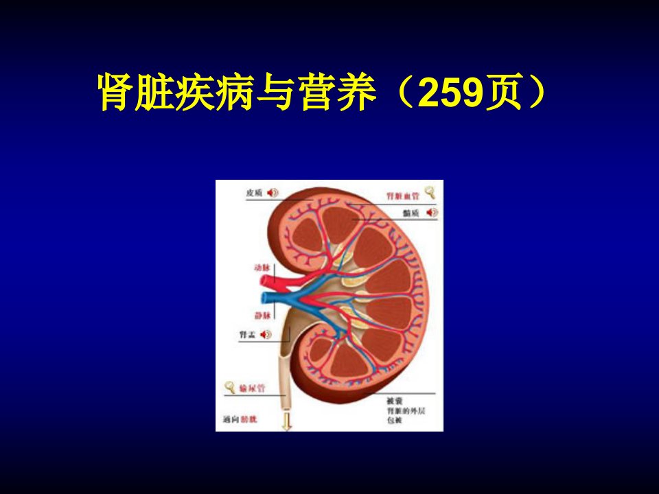 肾脏疾病与营养